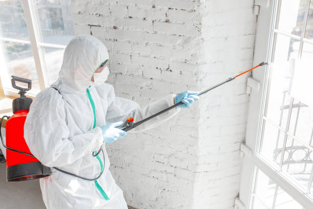 Best Asbestos and Lead Testing During Mold Inspection in Nicholson, GA